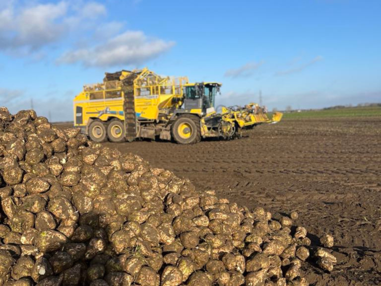 Unavngivet-816-x-1145-px-778-x-400-px-778-x-300-px.zip-8-768x576